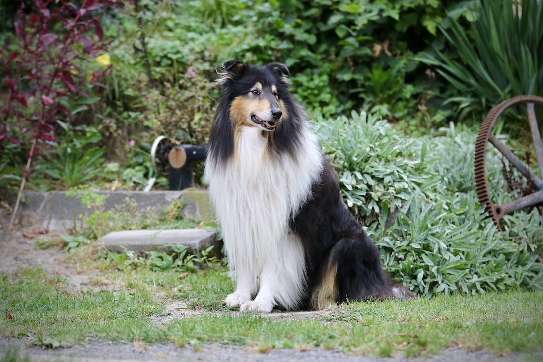 Wolle31.8.25_1U8A7923 Kopie