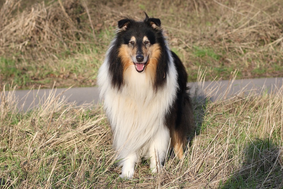 Wolle15.12.25_8163 Kopie