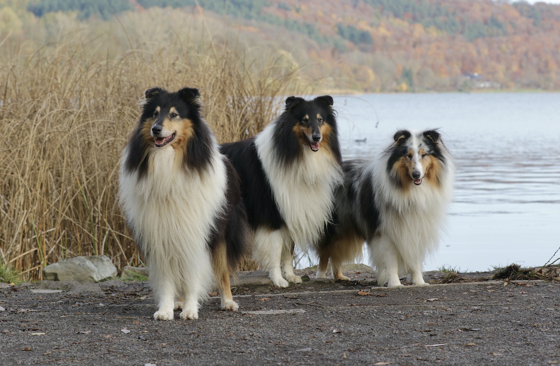 Jungs5.11.25_1U8A8828 Kopie