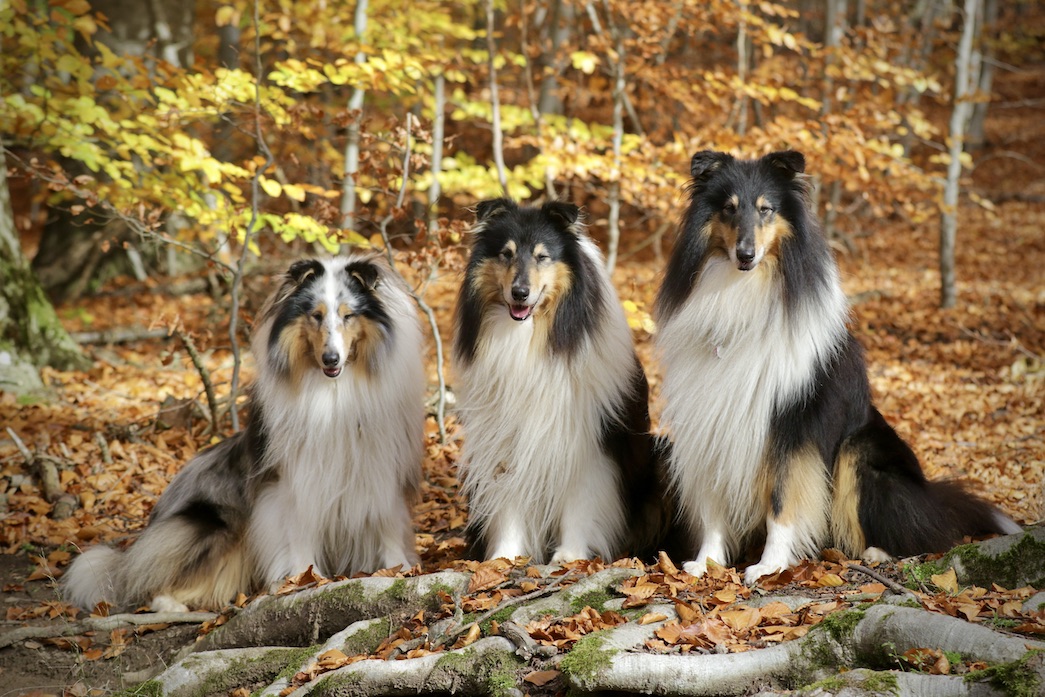 Jungs5.11.25_1U8A8920 Kopie