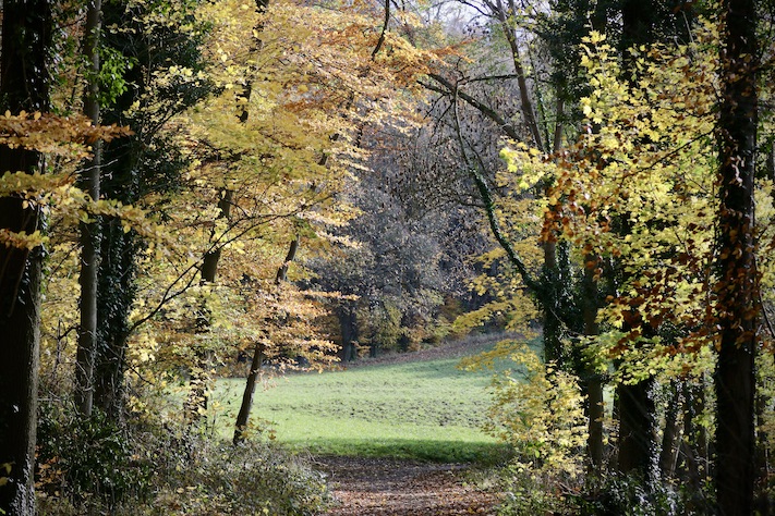 Laacher See5.11.25_1U8A9019 Kopie