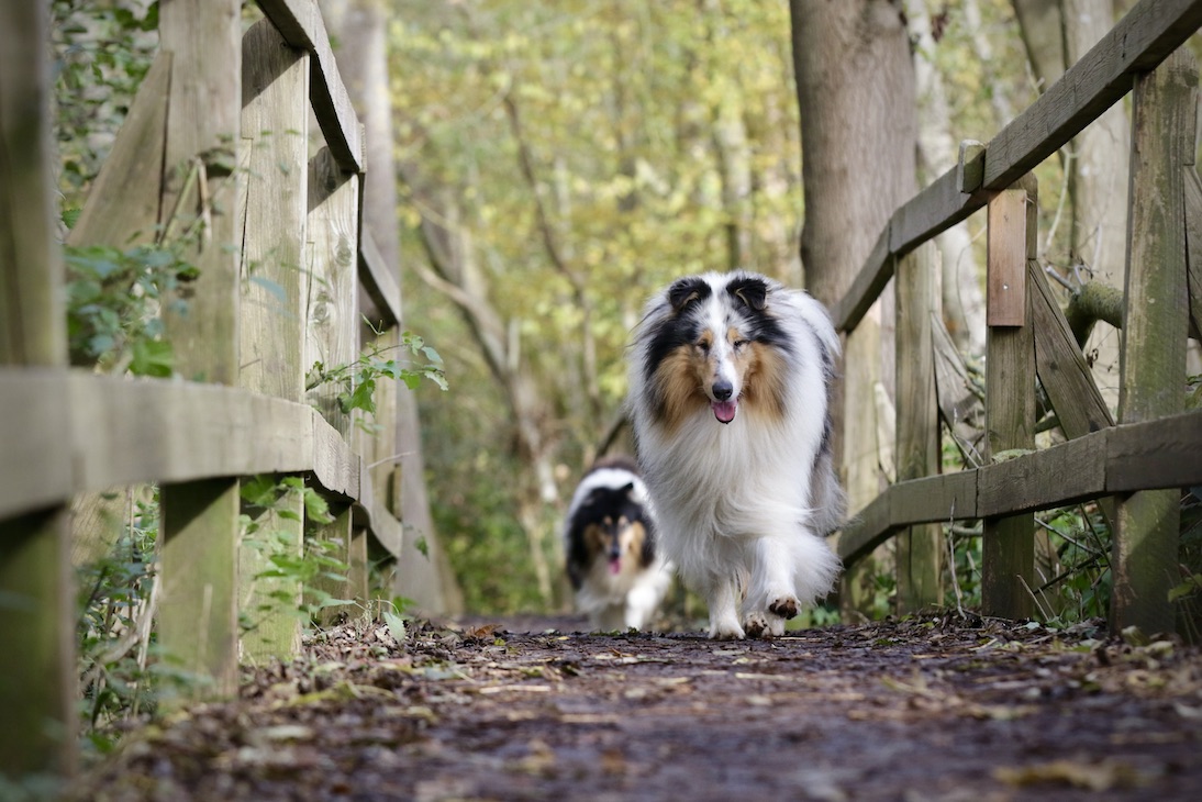 Mick5.11.25_1U8A8834 Kopie