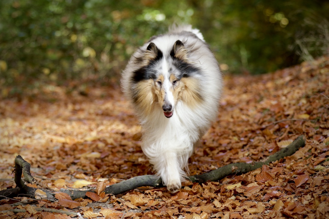 Mick5.11.25_1U8A8889 Kopie