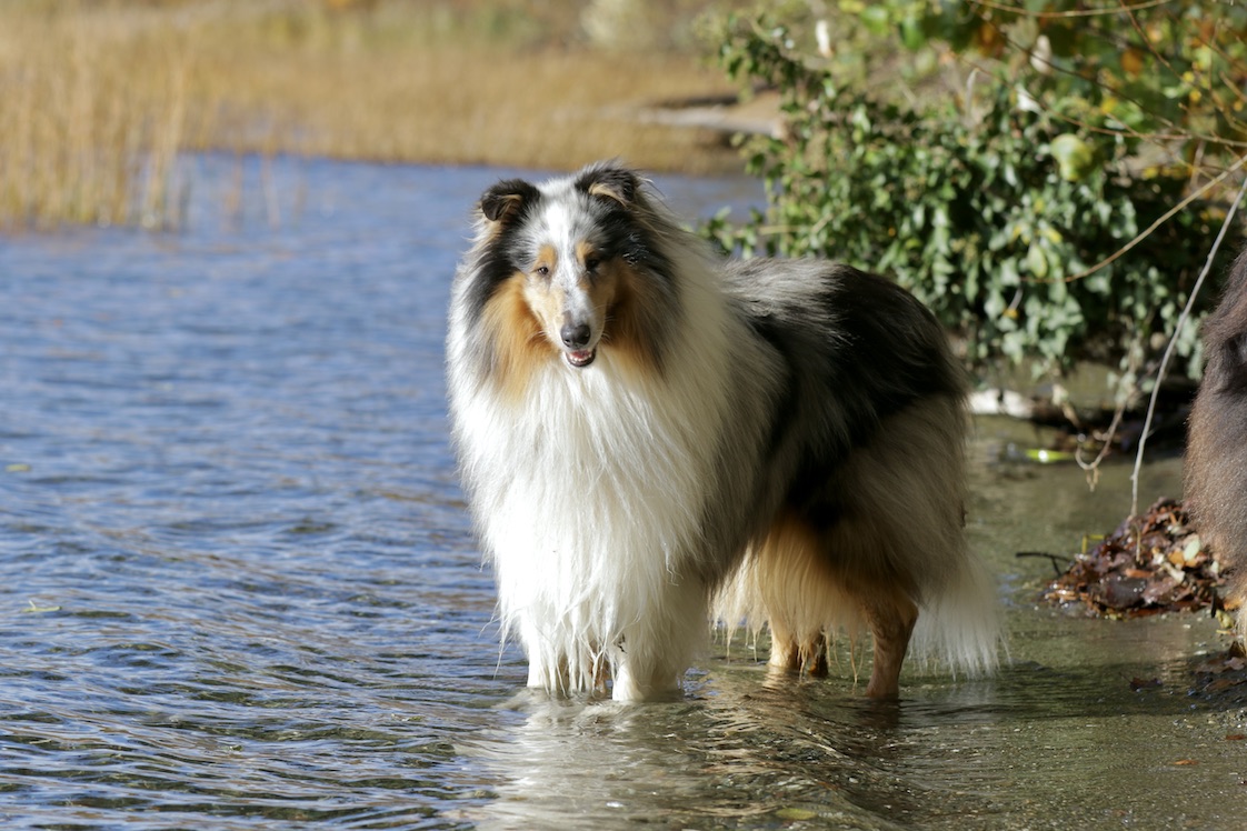 Mick5.11.25_1U8A8982 Kopie