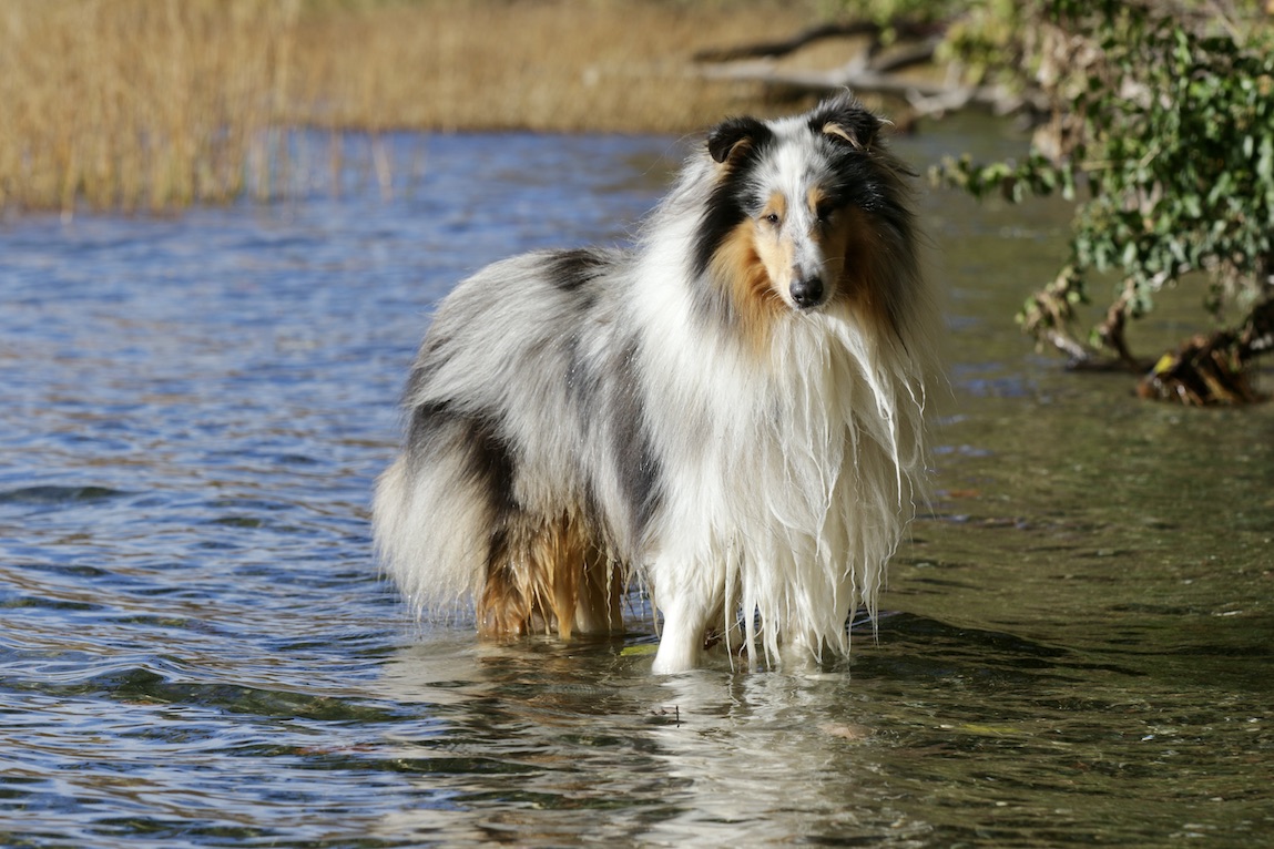 Mick5.11.25_1U8A8994 Kopie