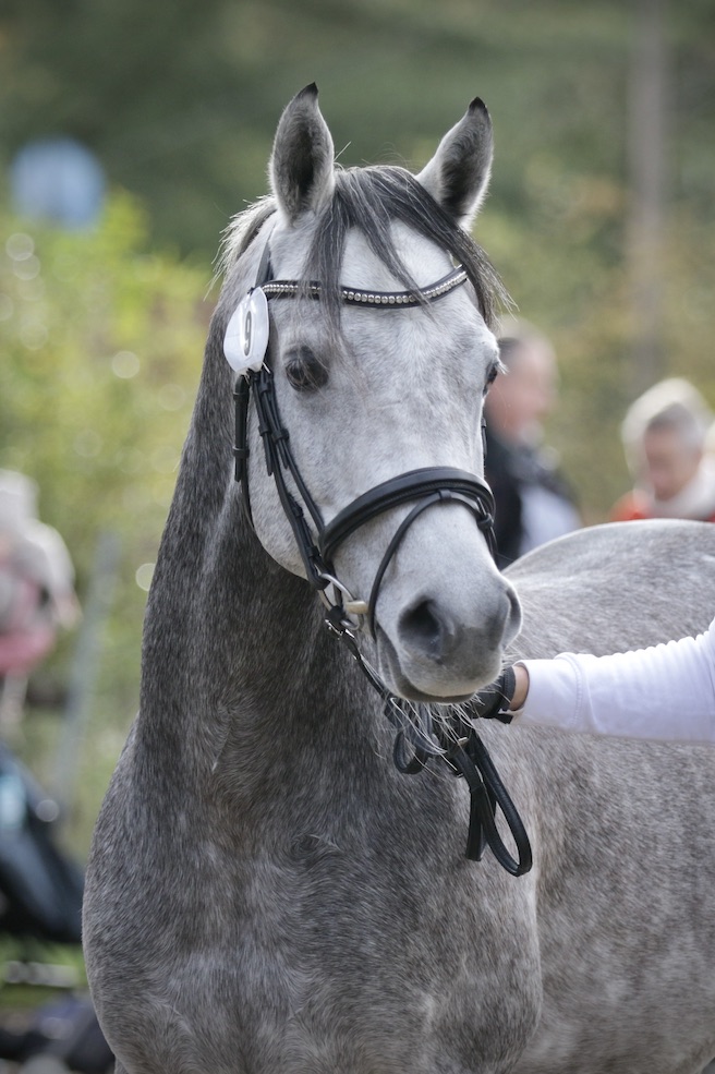 Hamzah Al Batra 25.10.25_1U8A8450 Kopie