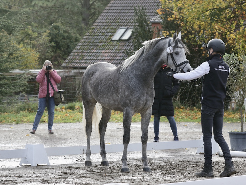 Hamzah Al Batra1U8A8443 Kopie