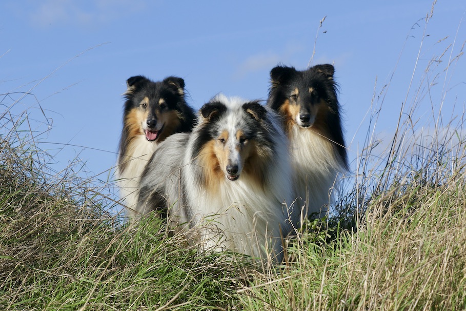 Jungs30.10.25_1U8A8730 Kopie