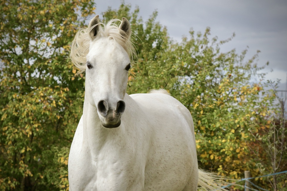 Manni18.10.25_1U8A7996 Kopie