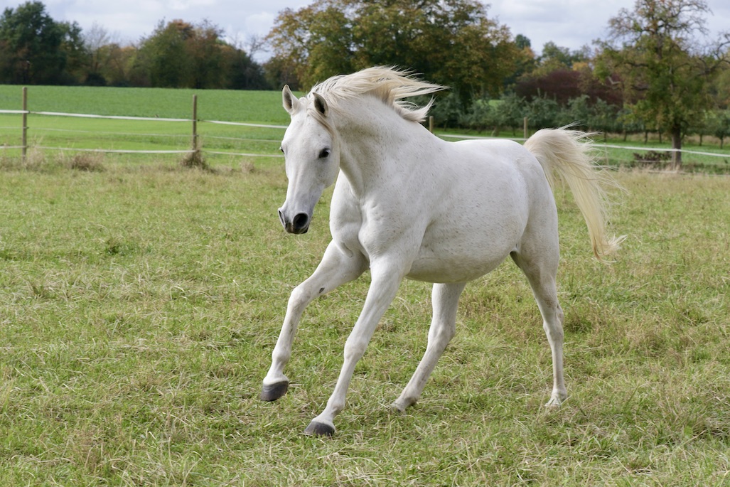 Manni18.10.25_1U8A8017 Kopie