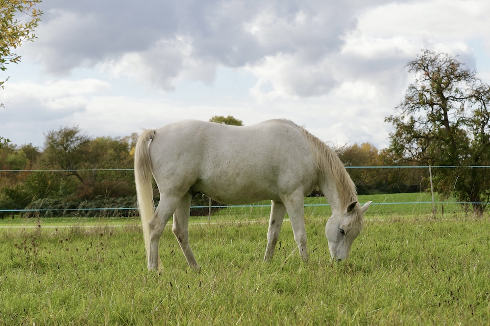 Manni18.10.25_1U8A8037 Kopie