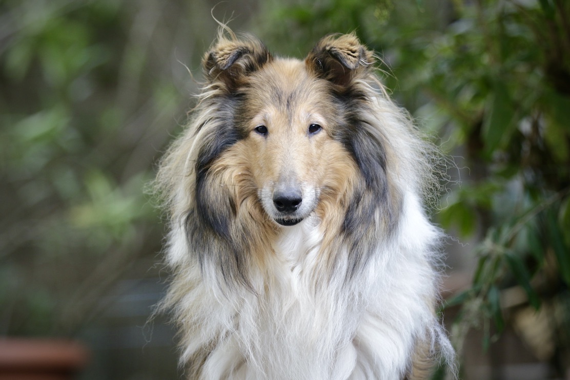 Maya19.10.25_1U8A8236 Kopie