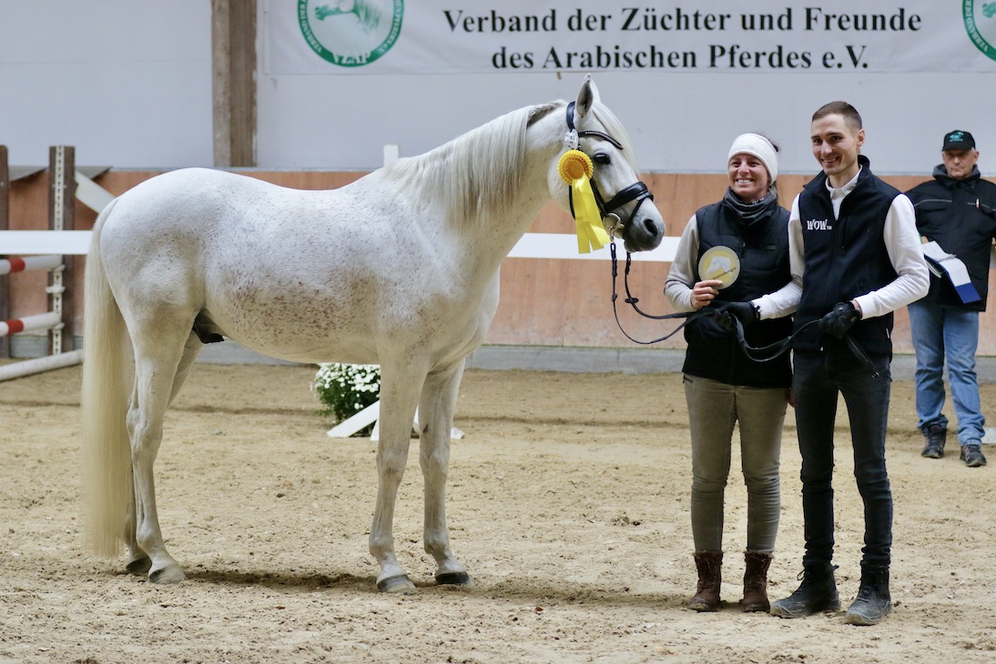 Moushah25.10.25_1U8A8557 Kopie