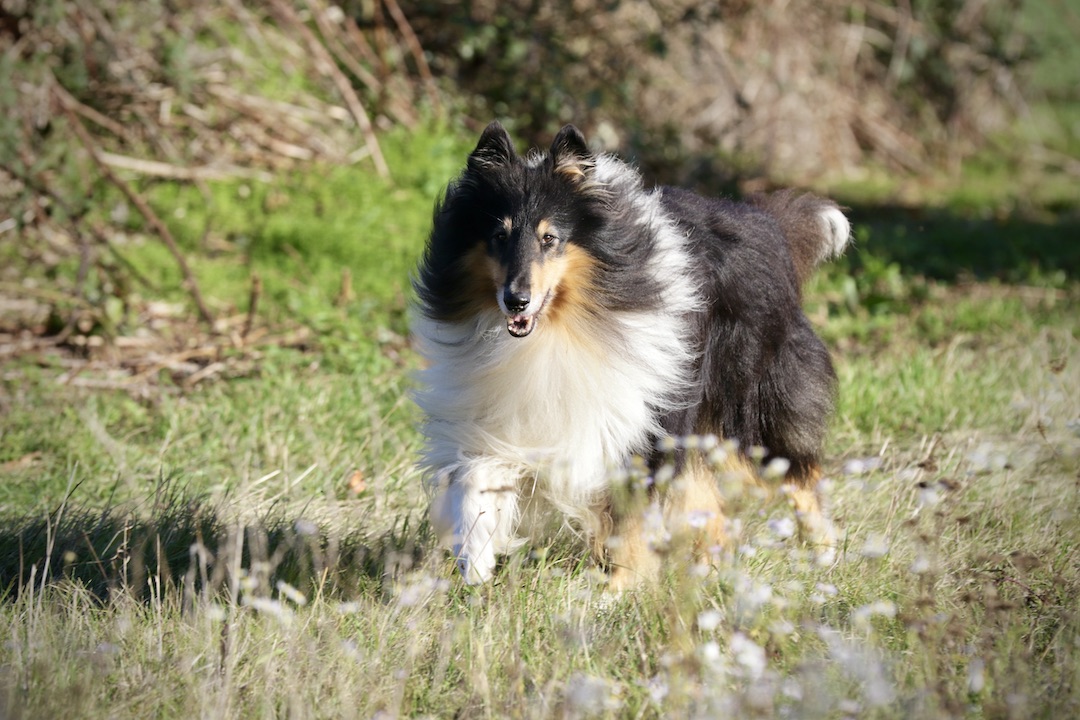 Ray30.10.25_1U8A8708 Kopie