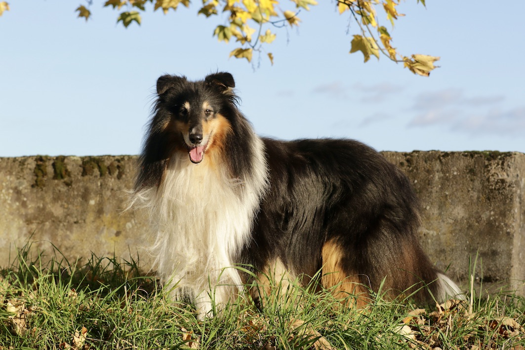 Ray30.10.25_1U8A8821 Kopie