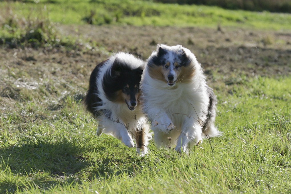 RayMick30.10.25_1U8A8712 Kopie