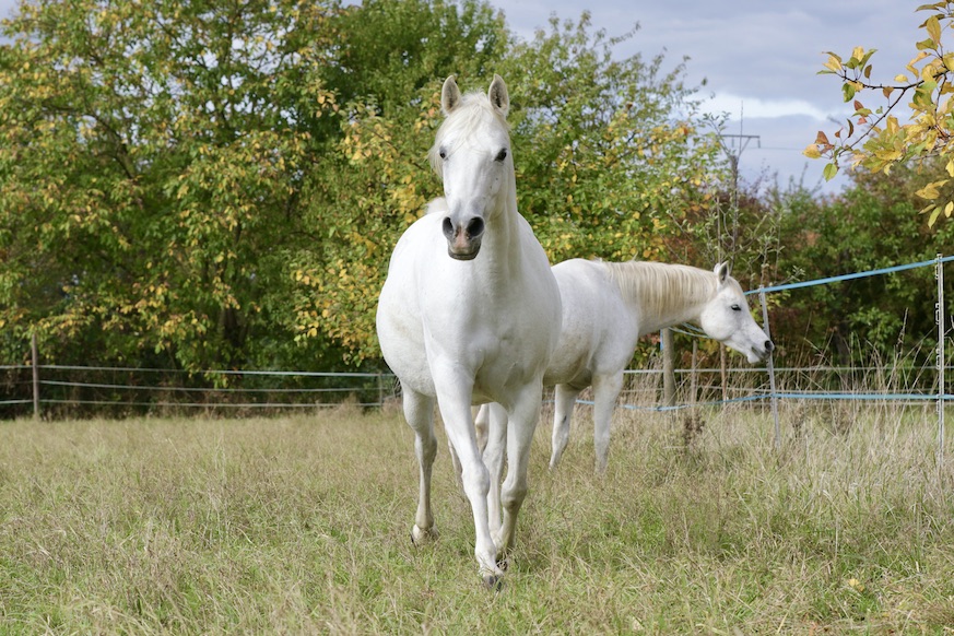 Sara18.10.25_1A7988 Kopie