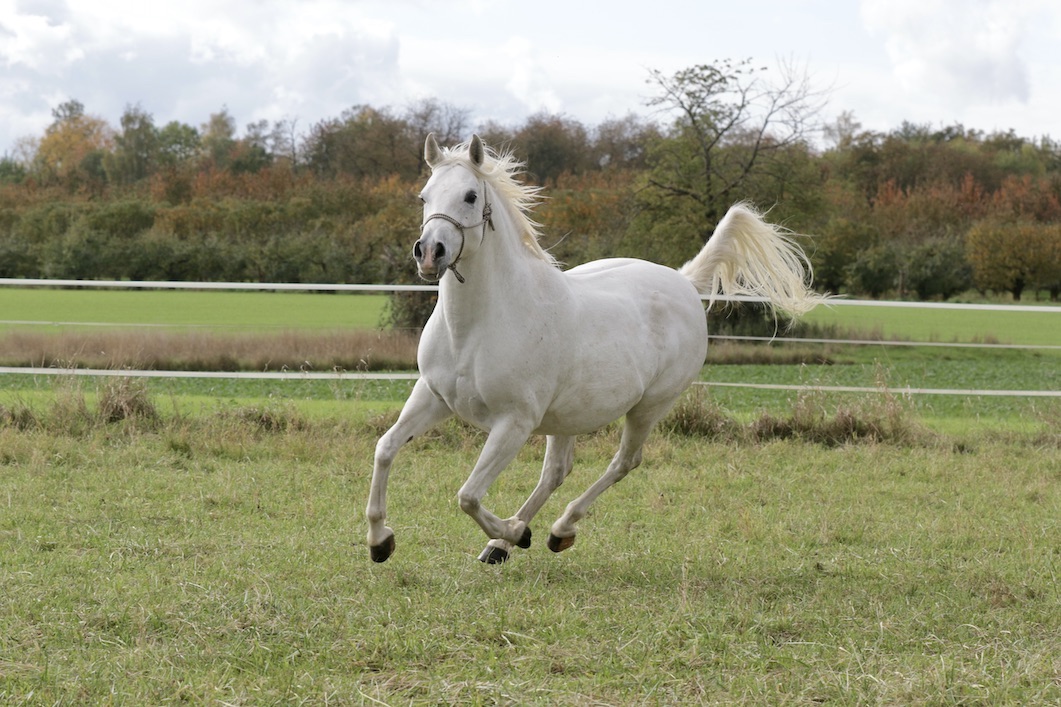 Sara18.10.25_1U8A7953 Kopie