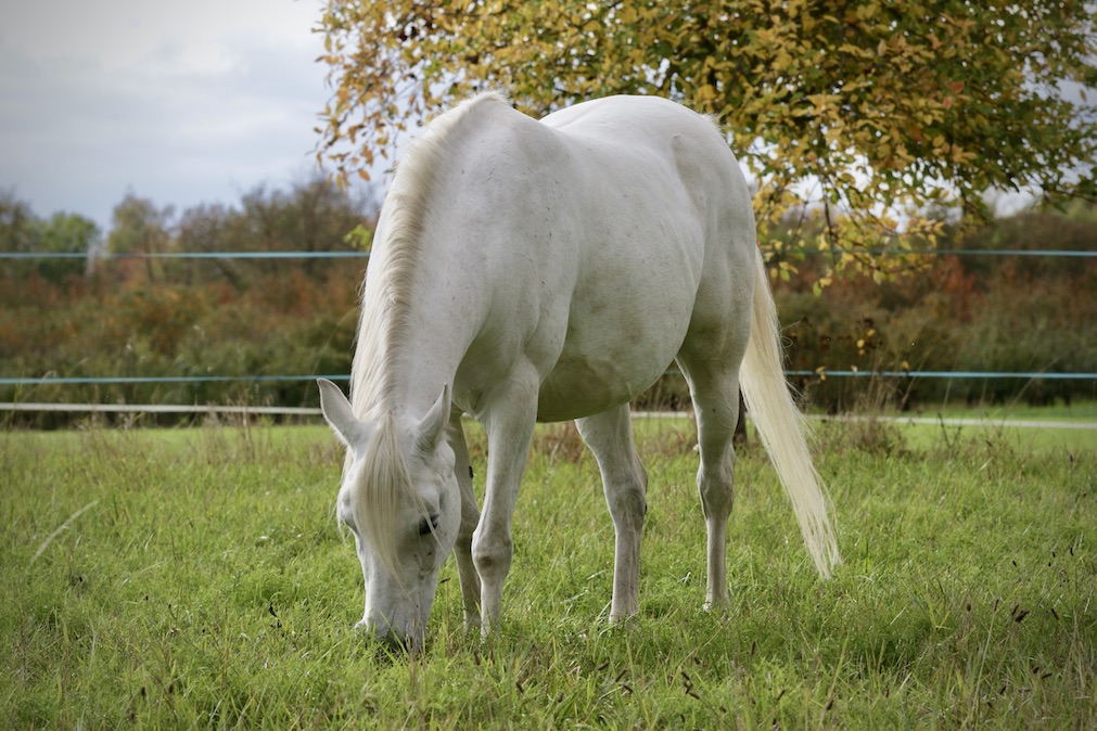 Sara18.10.25_1U8A8028 Kopie