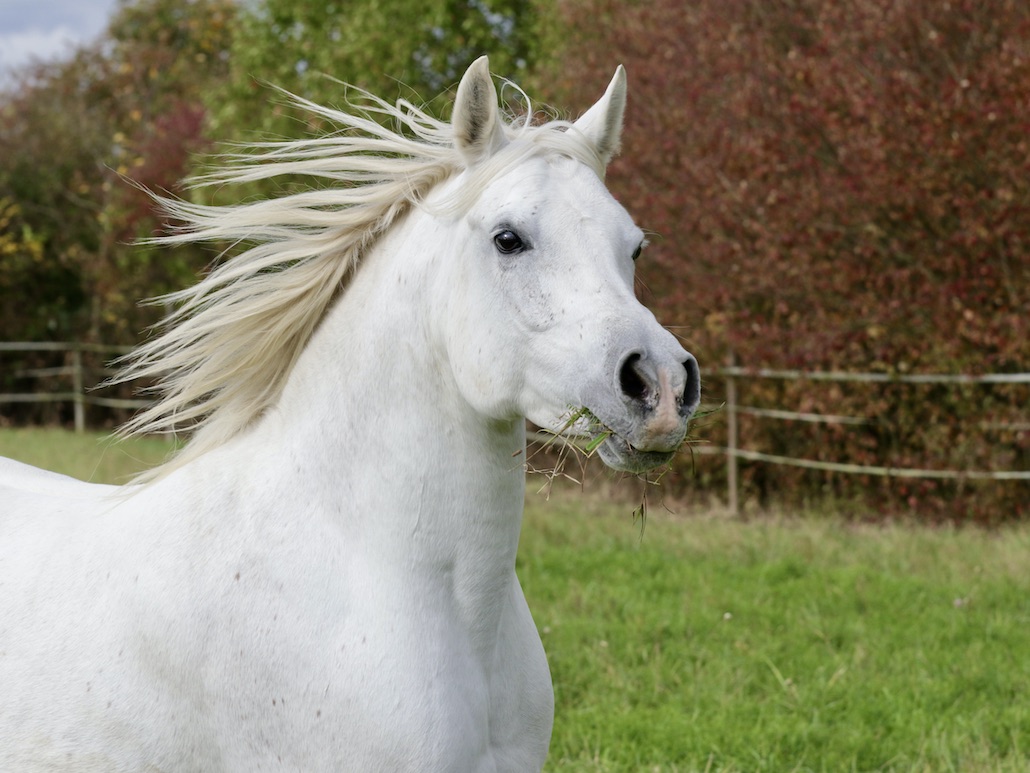 Sara18.10.25_1U8A8082 Kopie