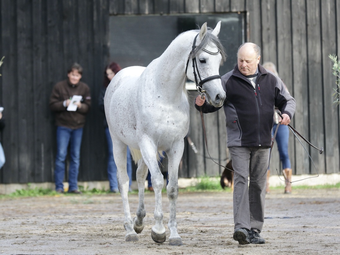 WM Shaqueel 25.10.25_1U8A8423 Kopie