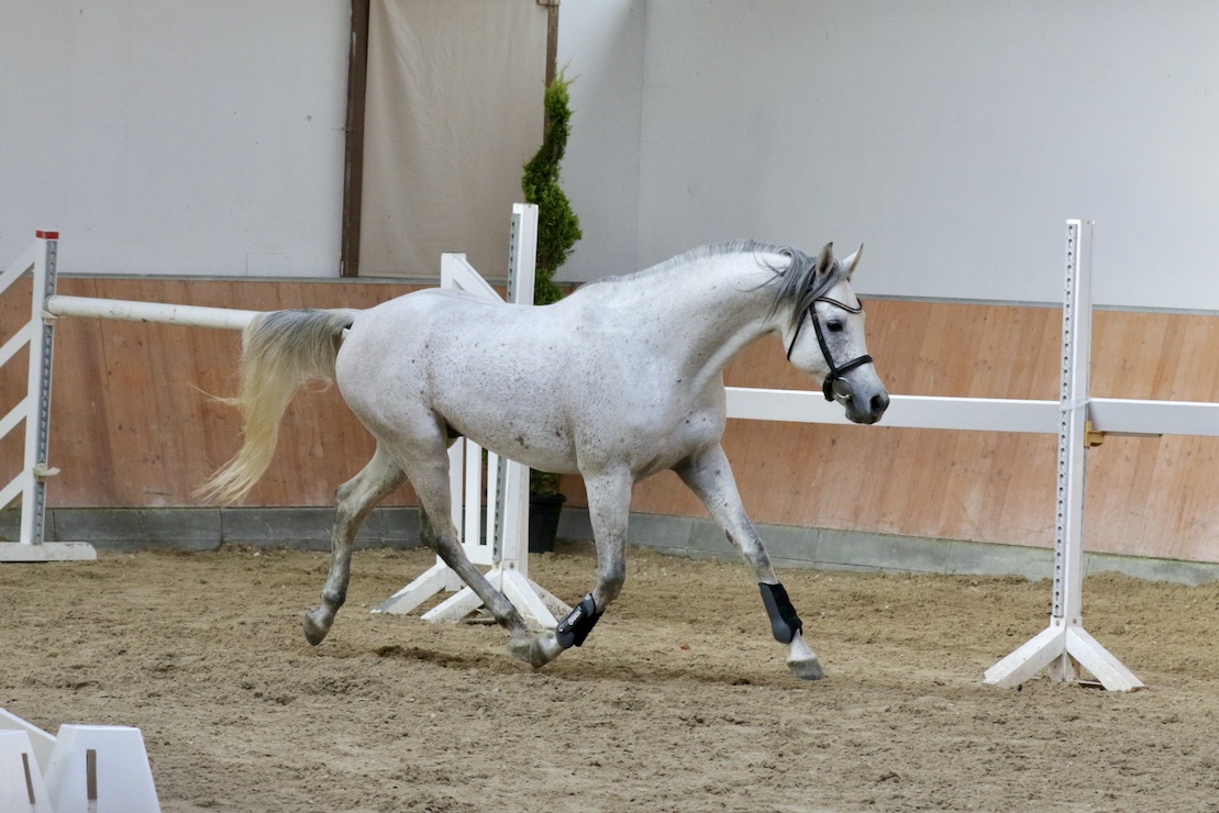 WM Shaqueel 25.10.25_1U8A8608 Kopie