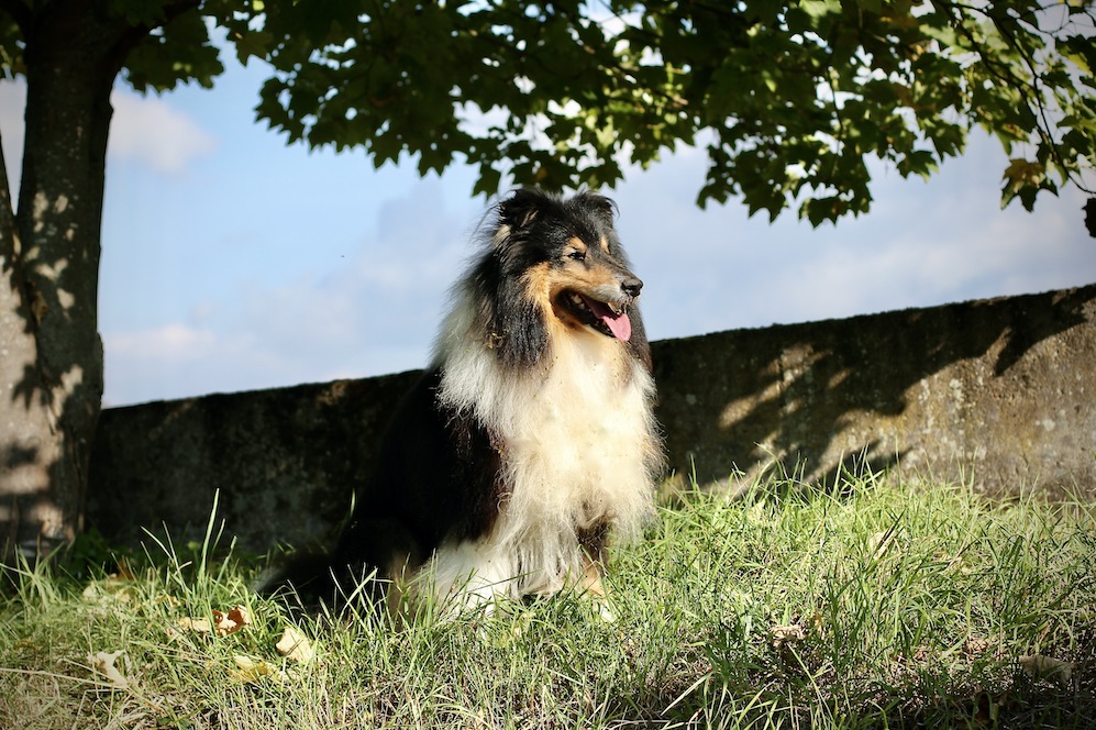Timo28.9.25_8031 Kopie
