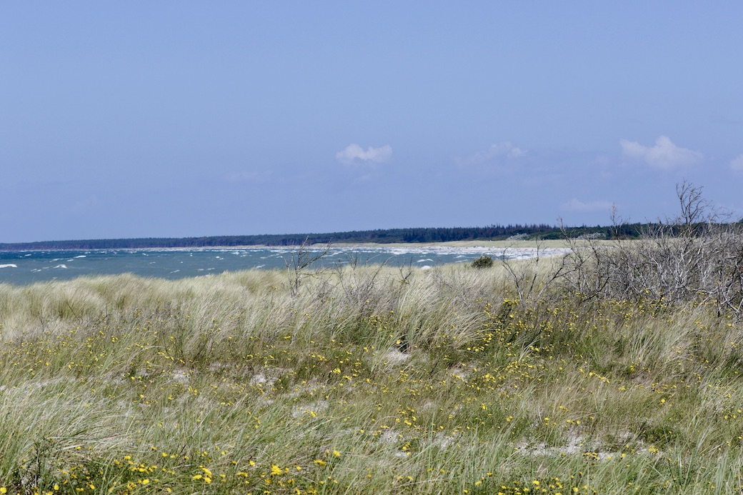 Ahrenshoop29.7.25_1U8A7467 Kopie