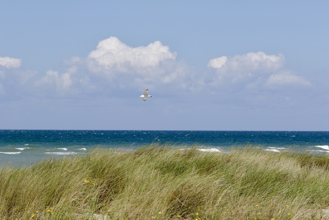 Ahrenshoop29.7.25_1U8A7470 Kopie