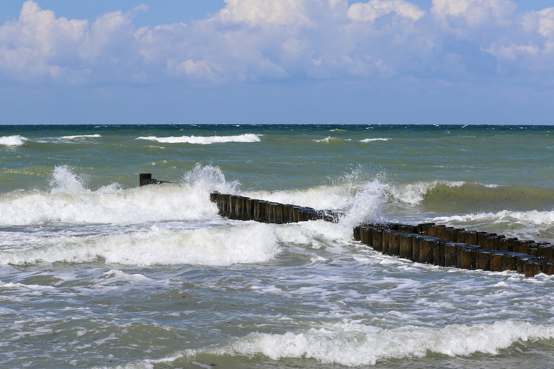 Ahrenshoop29.7.25_1U8A7478 Kopie