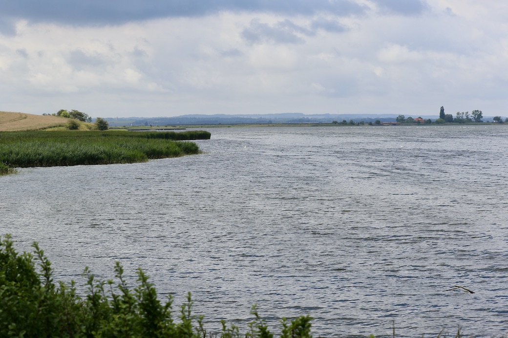 Insel Poel31.7.25_1U8A7593 Kopie