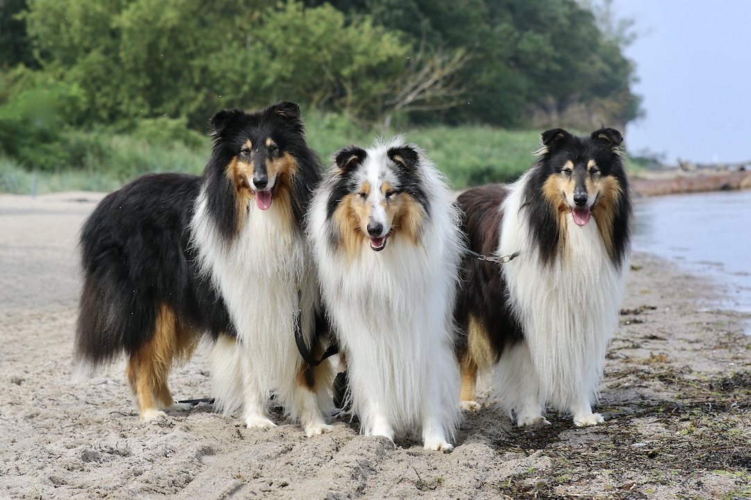 Jungs,Insel Poel 27.7.25_1U8A6991 Kopie
