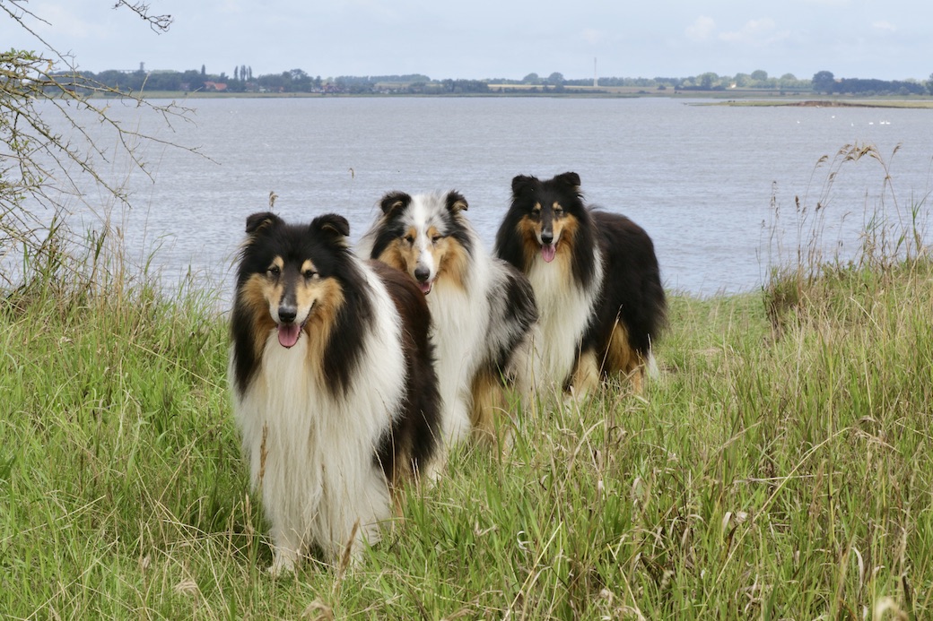 Jungs31.7.25_1U8A7582 Kopie