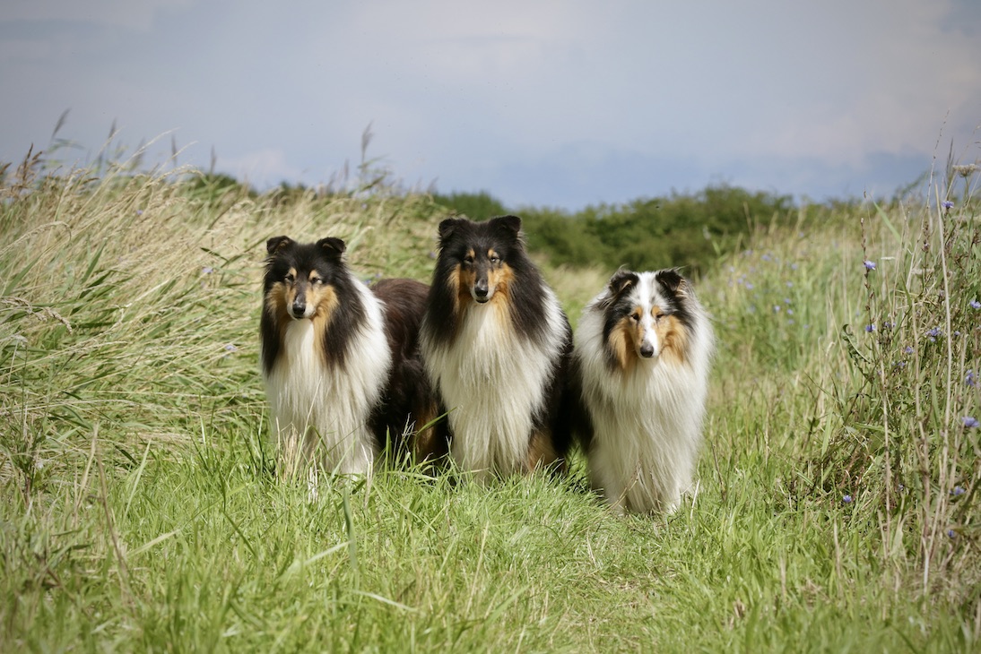 Jungs31.7.25_1U8A7631 Kopie