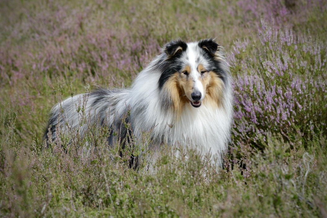 Mick2.8.25_1U8A7775 Kopie