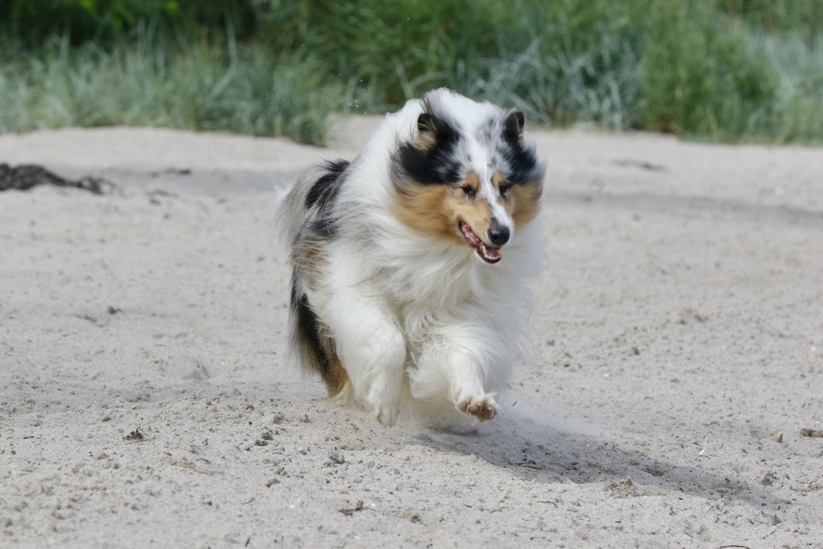 Mick27.7.25_1U8A6992 Kopie