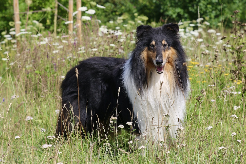 Ray28.7.25_1U8A7152 Kopie