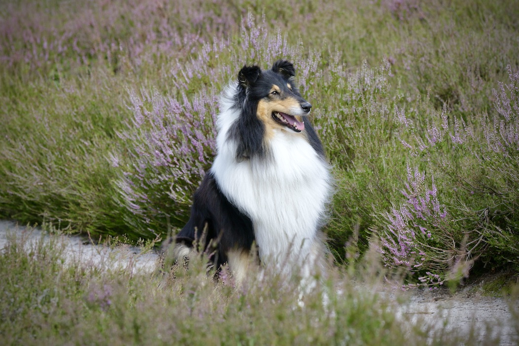 Wilma2.8.25_1U8A7754 Kopie