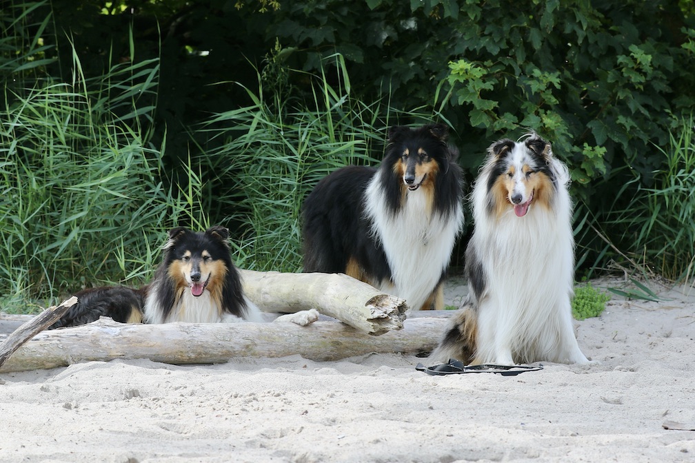 WolleRayMick27.7.25_1U8A7033 Kopie