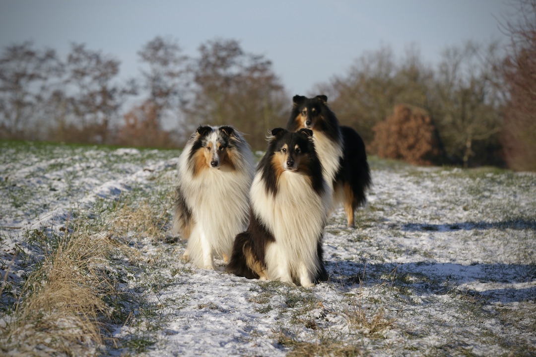 Jungs11.1.26_1U8A9044 Kopie