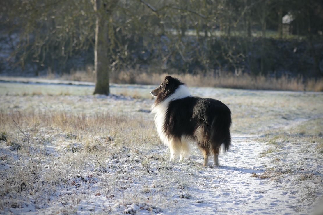 Ray11.1.26_1U8A9026 Kopie