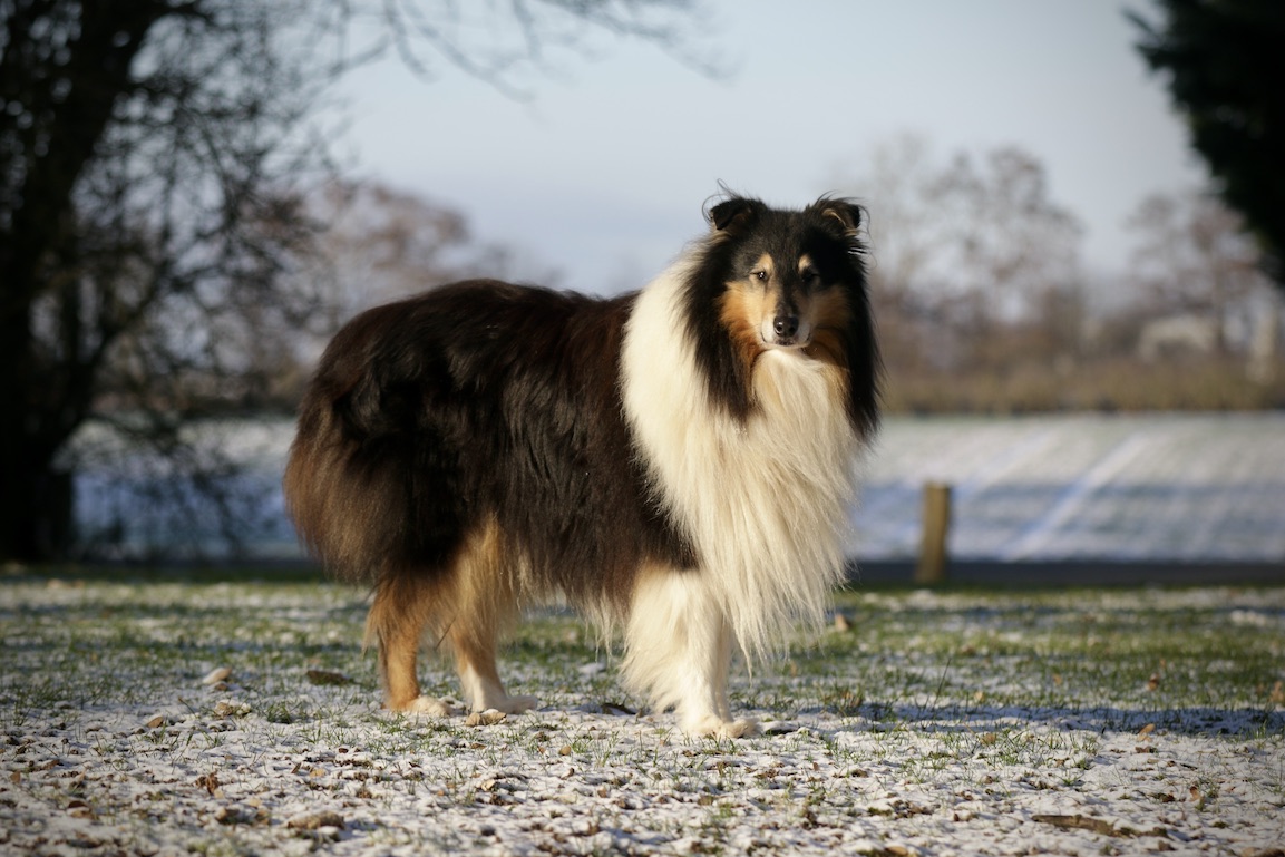 Wolle11.1.26_1U8A9034 Kopie