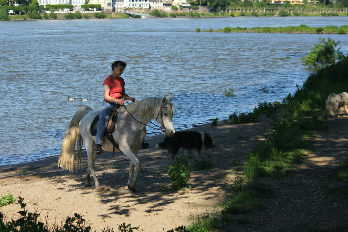 WiramRhein25.5.12_4359 Kopie